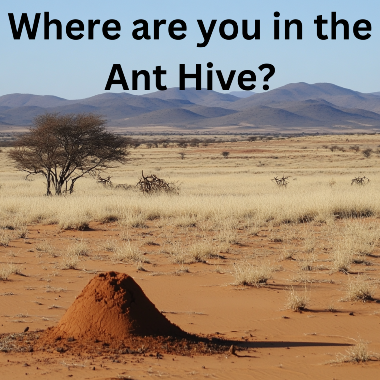 Anthive Day 148 - Where are you in the Ant Hive? - The 365 Commitment